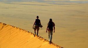 Saisie record de hachisch en Algérie