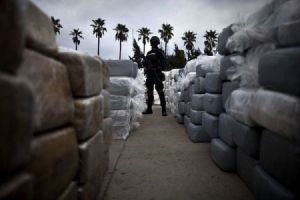 Saisie de record de drogue en Egypte