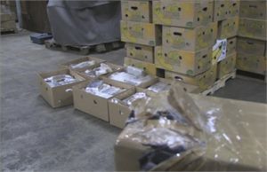 Belgique: saisies de cocaïne d'une valeur de 500 millions d'euros